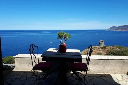 Coin De Paradis Vue Dominante Sur Mer, Montagne Et Tour Genoise Avec Jacuzzi Pino Экстерьер фото