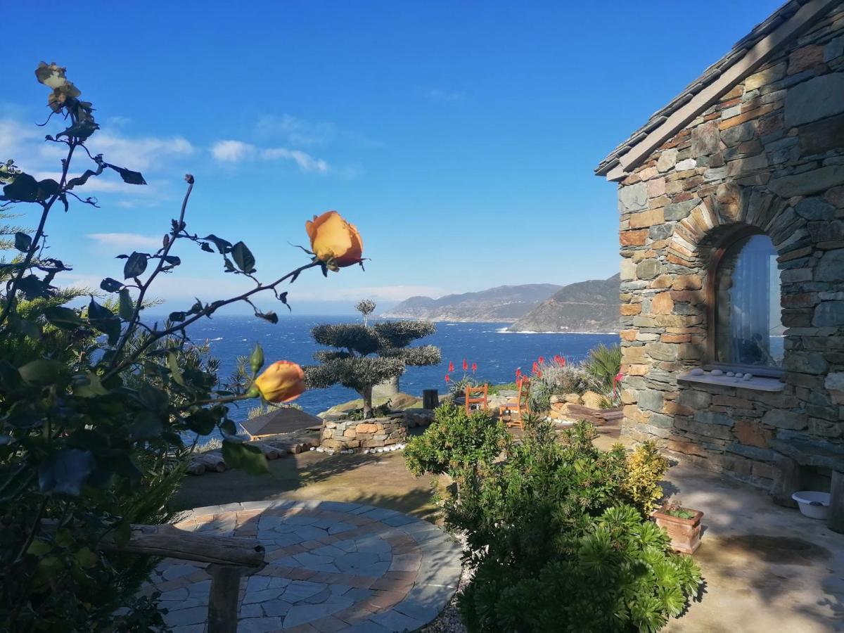 Coin De Paradis Vue Dominante Sur Mer, Montagne Et Tour Genoise Avec Jacuzzi Pino Экстерьер фото