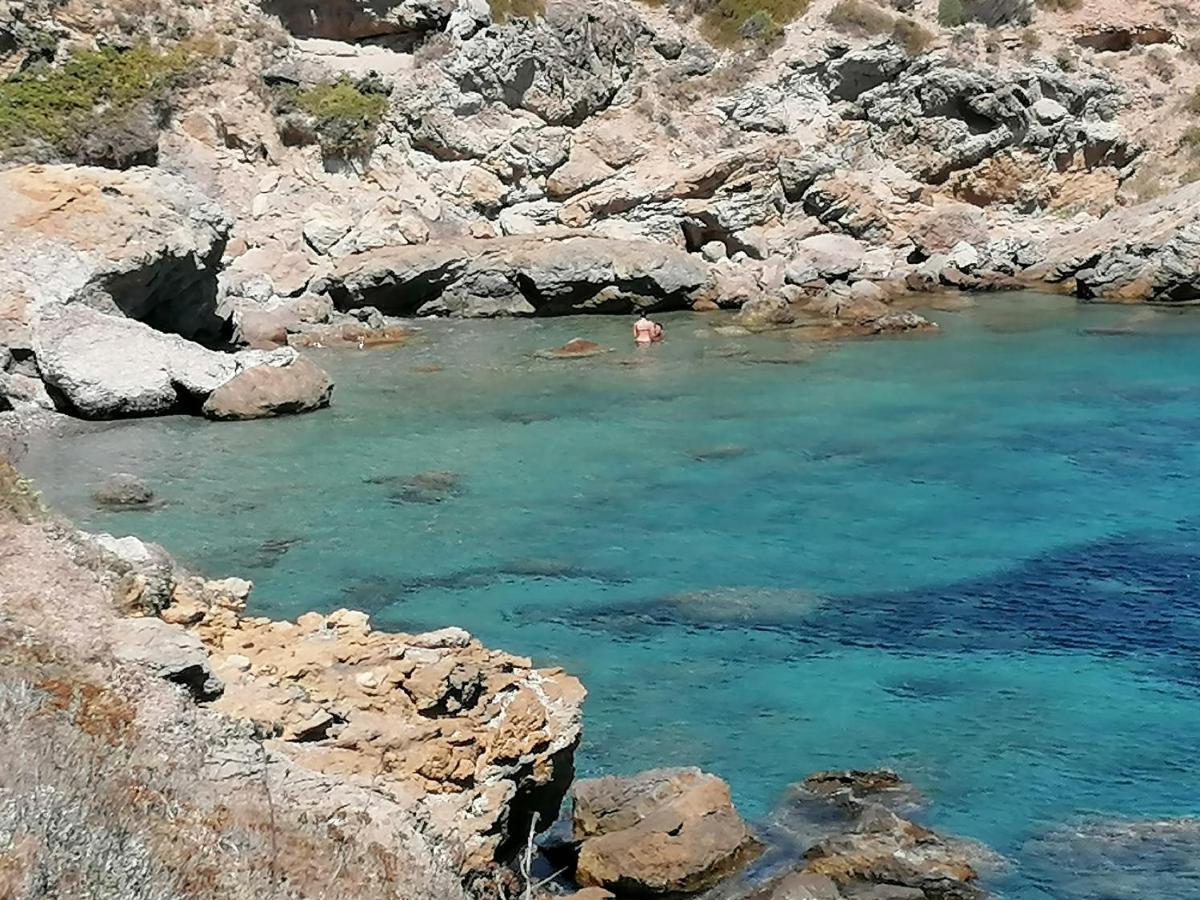 Coin De Paradis Vue Dominante Sur Mer, Montagne Et Tour Genoise Avec Jacuzzi Pino Экстерьер фото