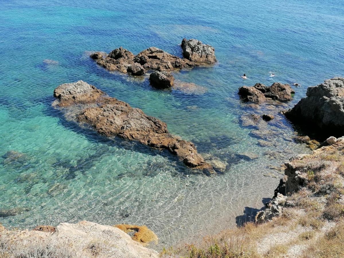 Coin De Paradis Vue Dominante Sur Mer, Montagne Et Tour Genoise Avec Jacuzzi Pino Экстерьер фото
