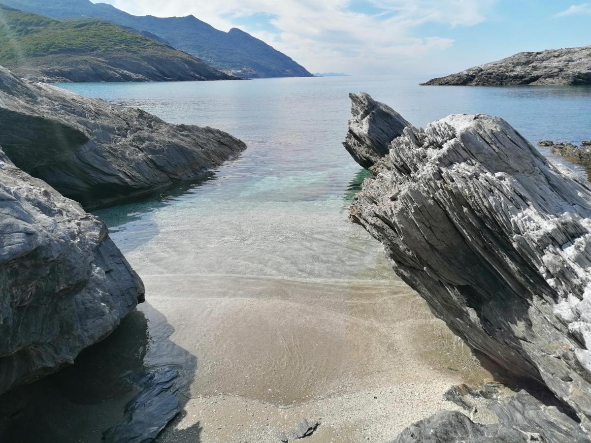 Coin De Paradis Vue Dominante Sur Mer, Montagne Et Tour Genoise Avec Jacuzzi Pino Экстерьер фото
